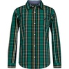 Evergreen Check Plaid