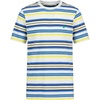 Clear Skies Bright Stripe