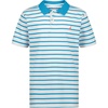 Coast Stripe Hawiian Ocean