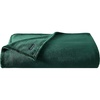 Solid Dark Green
